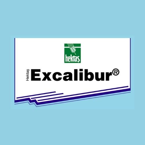  HEKTAŞ EXCALIBUR®