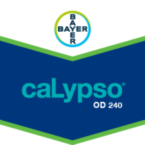 CALYPSO® OD 240 (Insektisit)