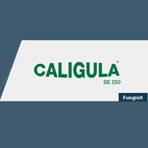 CALİGULA ® SE 250( Fungisit)