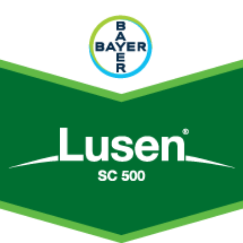 LUSEN® SC 500 (Fungisit)