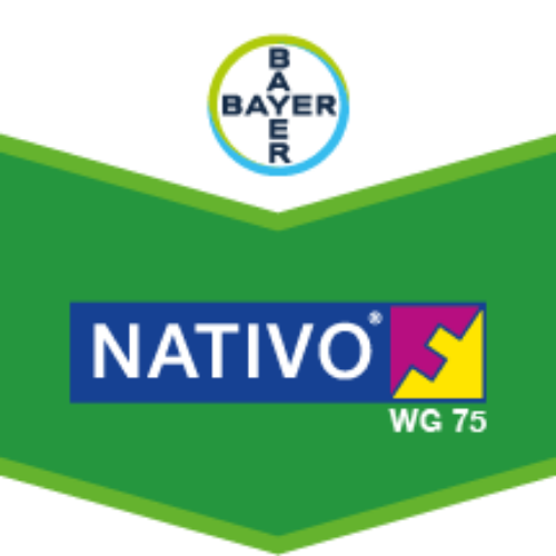 NATIVO® WG 75 (Fungisit)