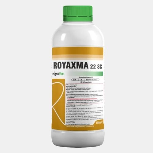 ROYAXMA 22 SC