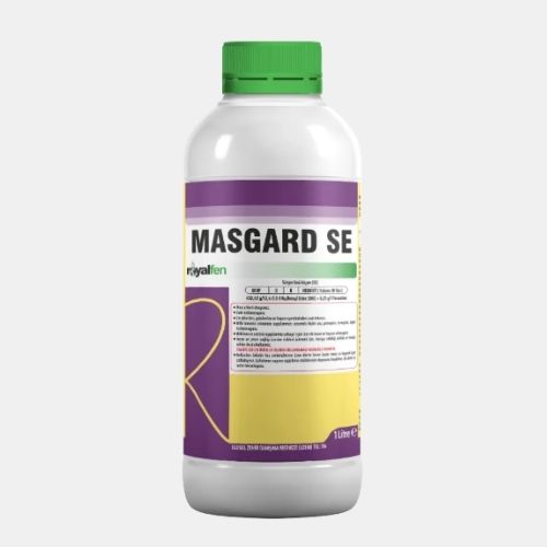 MASGARD SE