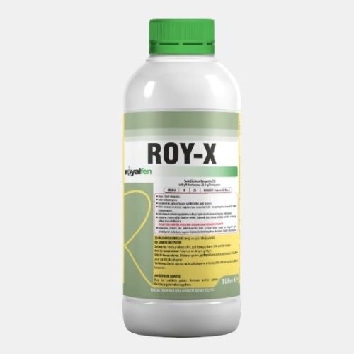 ROY-X
