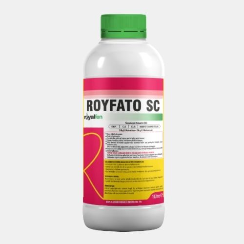 ROYFATO SC