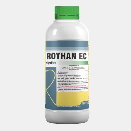 ROYHAN EC