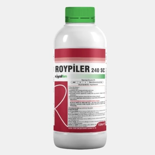 ROYPİLER SC