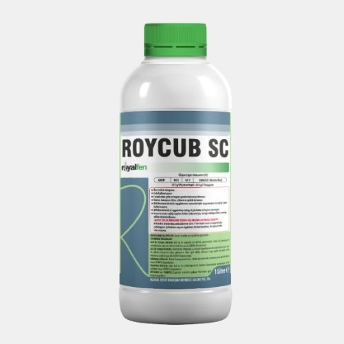 ROYCUB SC