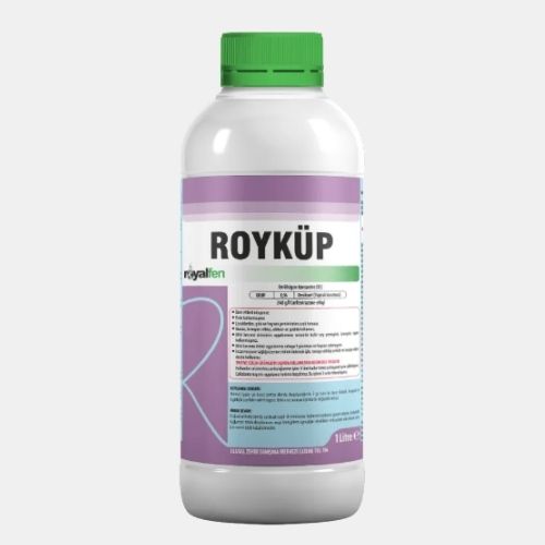 ROYKÜP