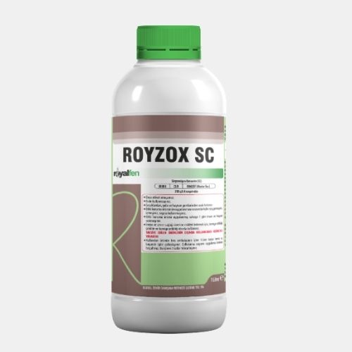 ROYZOX SC