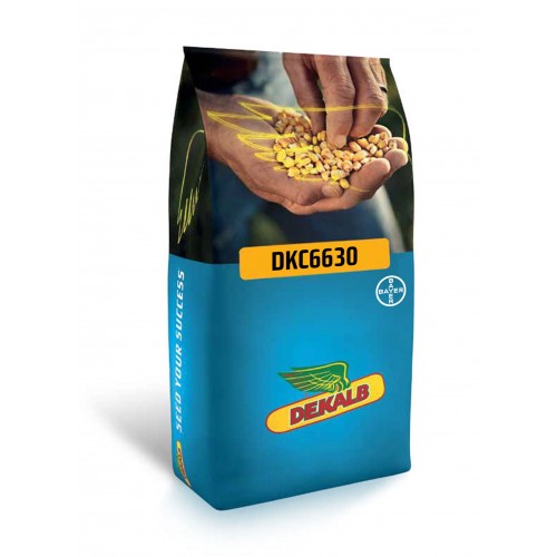 DKC6630 Ana Ürün Mısır Tohumu